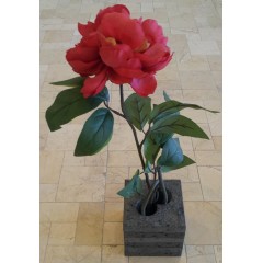 Vase Vase