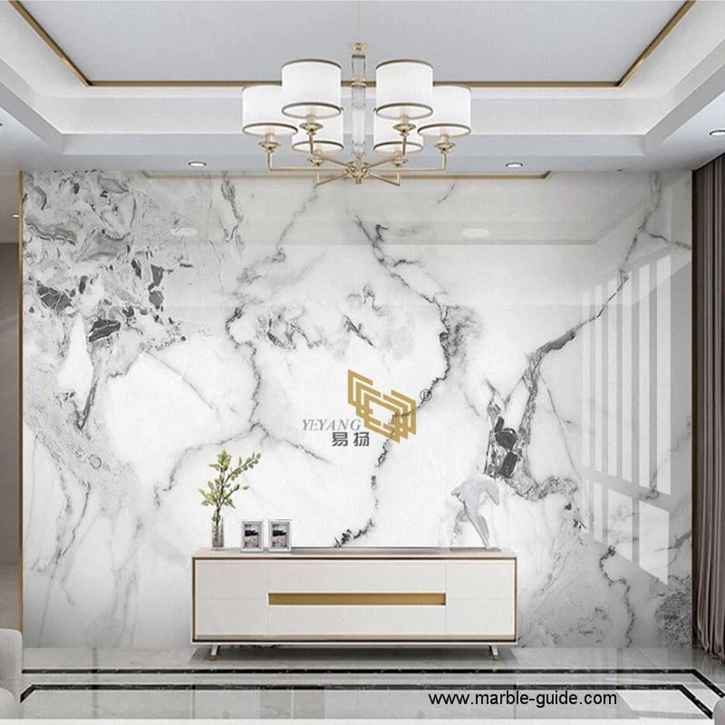 Ink White Marble background