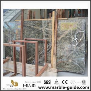 Losa de mármol verde de la selva tropical con diseño de bajo precio para la decoración del hotel