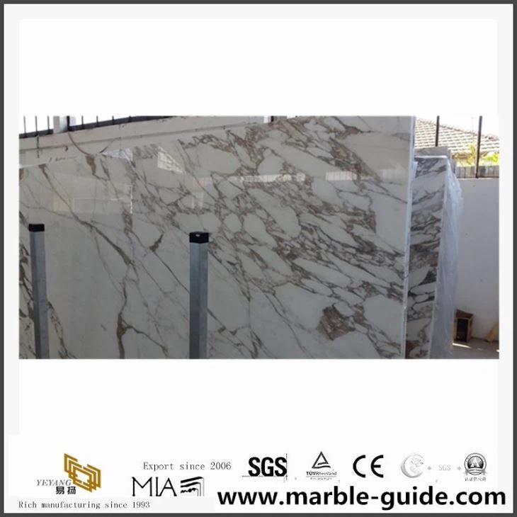 Polished Natural Calacatta Vagli Marble Floor Tiles