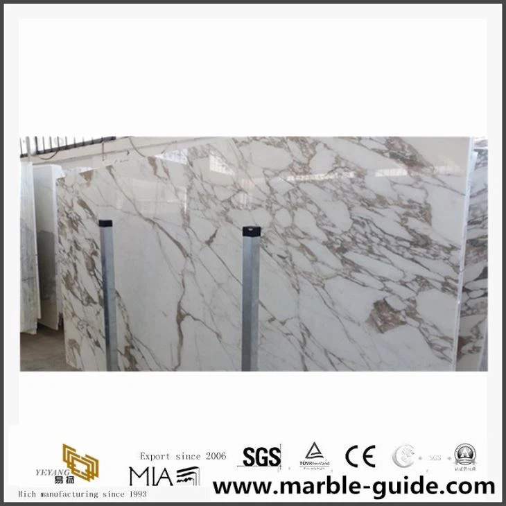 Polished Natural Calacatta Vagli Marble Floor Tiles