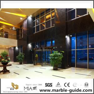 Proyectos multifamiliares Vista del puerto de Shangfang con cuarzo Black Illusion