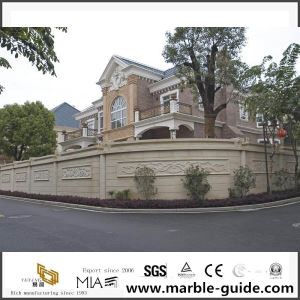 Proyecto de edificio de lujo de Villa proyecto Navona travertino