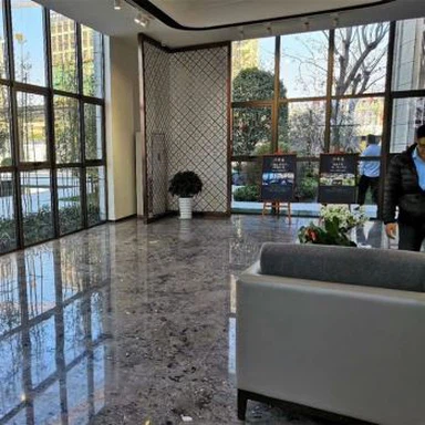 Proyecto de mármol de pintura de tinta para pisos de villa