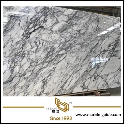 Losa de Piedra Natural Arabescato Mármol Blanco